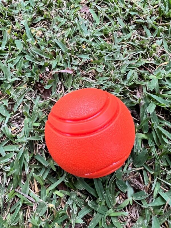 rubber ball