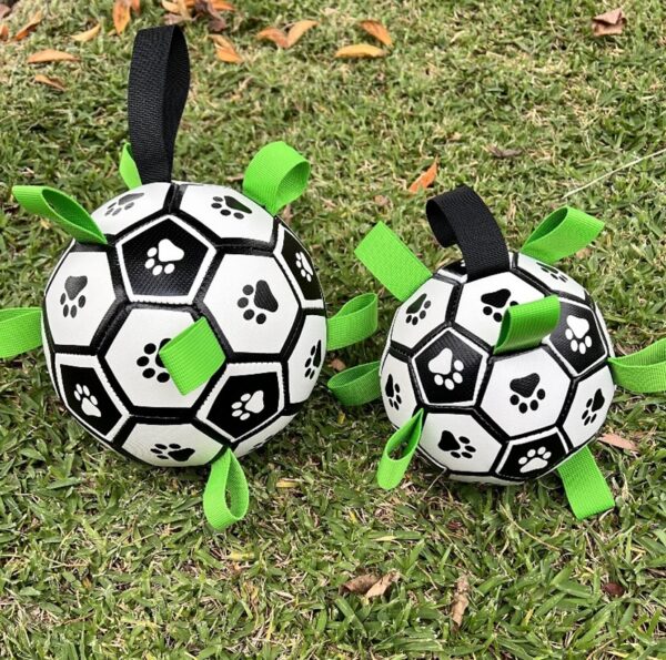 dog soccer ball